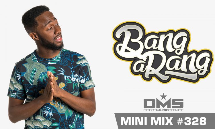 DMS MINI MIX WEEK #328 DJ BANGARANG