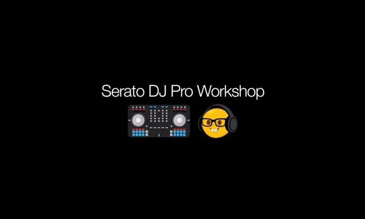 Serato DJ Pro | Troubleshooting 101, Beatgrids and Library Management Tutorial