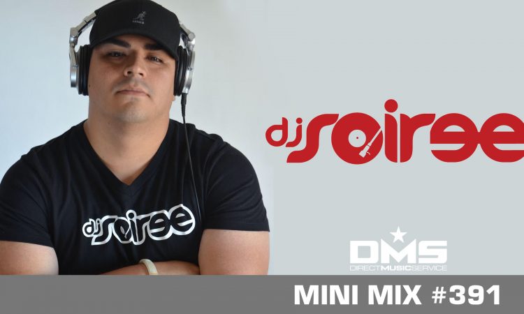 DMS MINI MIX WEEK #391 DJ SOIREE