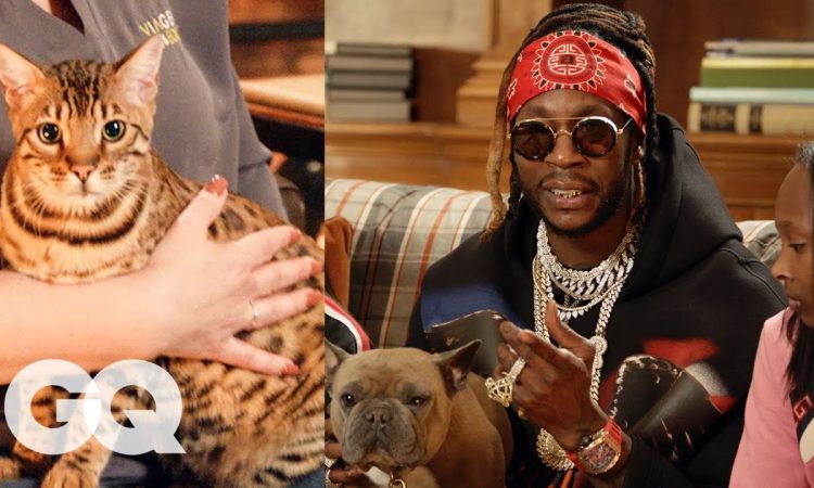 2 Chainz Pets a $25K Cloned Cat | Most Expensivest | GQ & VICE TV