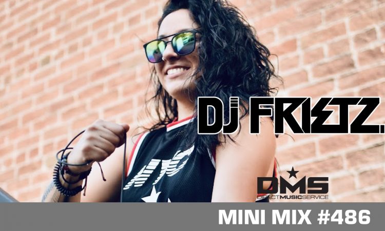 DMS MINI MIX WEEK #486 DJ FRIETZ