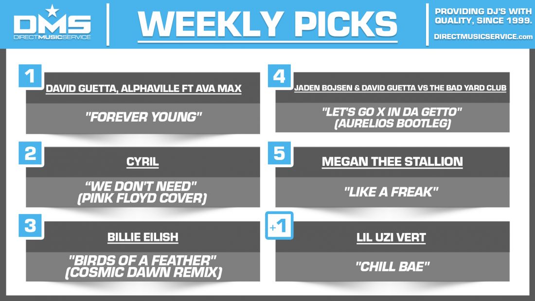 DMS TOP 5 PICKS OF THE WEEK 11-4-2024