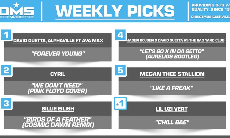 DMS TOP 5 PICKS OF THE WEEK 11-4-2024